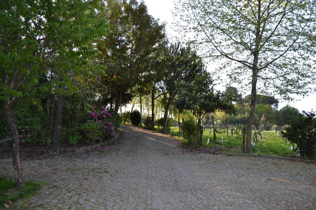 Quinta do Mosteiro Felgueiras Exterior foto