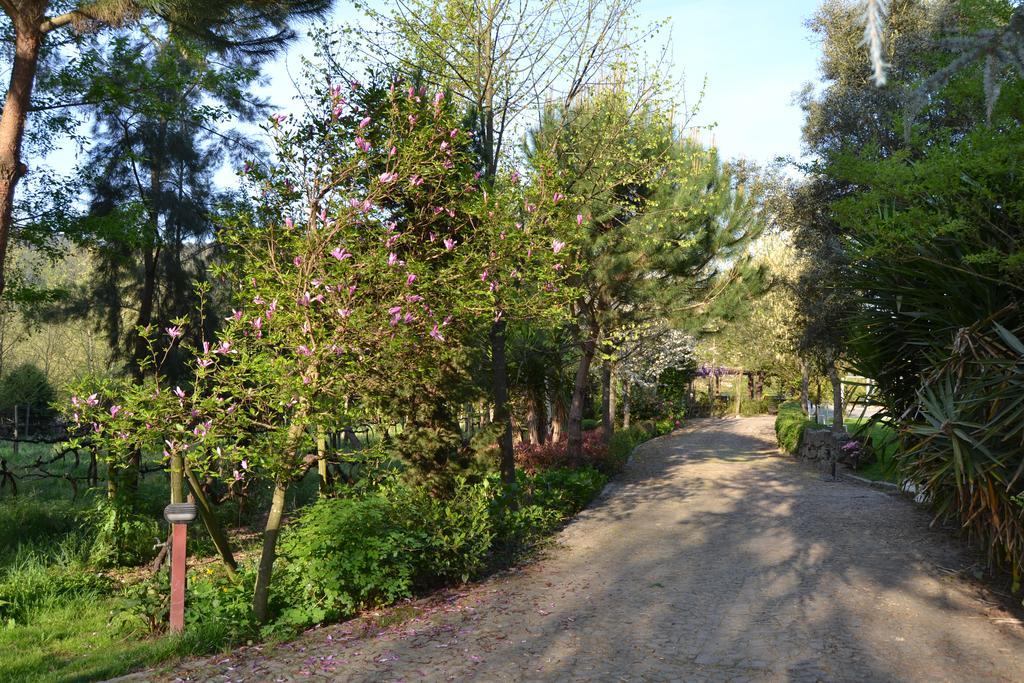 Quinta do Mosteiro Felgueiras Exterior foto